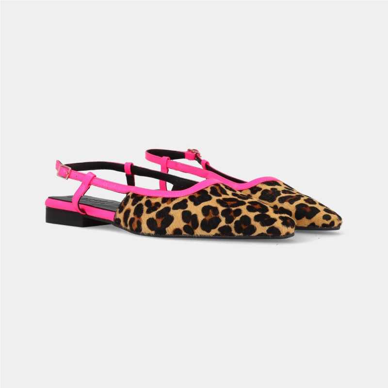 Plano Leopardo de Dansi