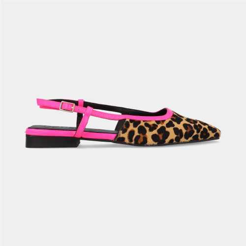 Plano Leopardo de Dansi