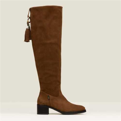 BOTA ADELAIS